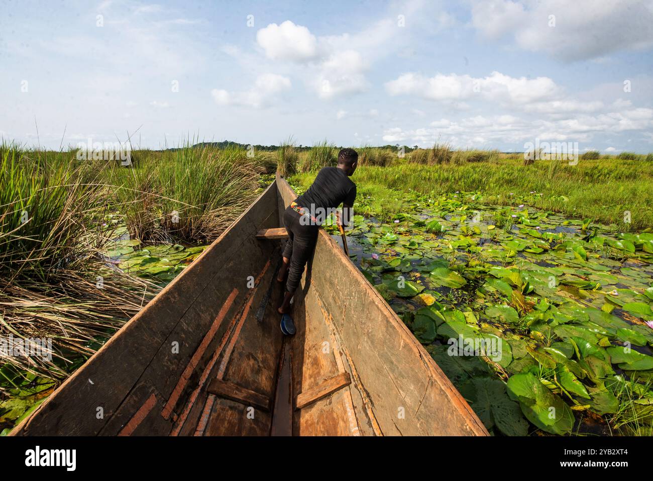 Ein Mann paddelt mit einem Boot im Mabamba-Sumpf im Victoria-See in Uganda Stockfoto