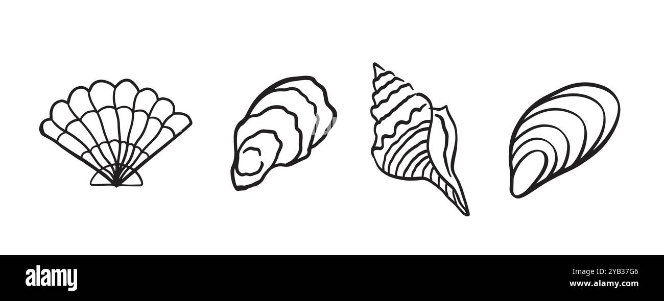 Sea Shell Collection Handgezeichnete Doodle Seashells Stock Vektor