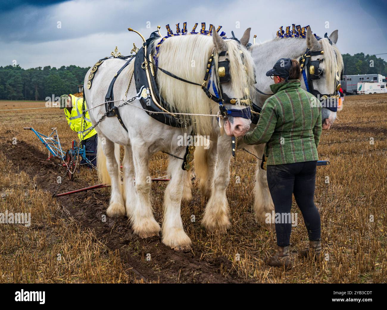 Perlethorpe, Nottinghamshire, die British National Poughing Championships & Country Festival - traditionelle schwere Pferdepflügen in der engsten Furche Stockfoto