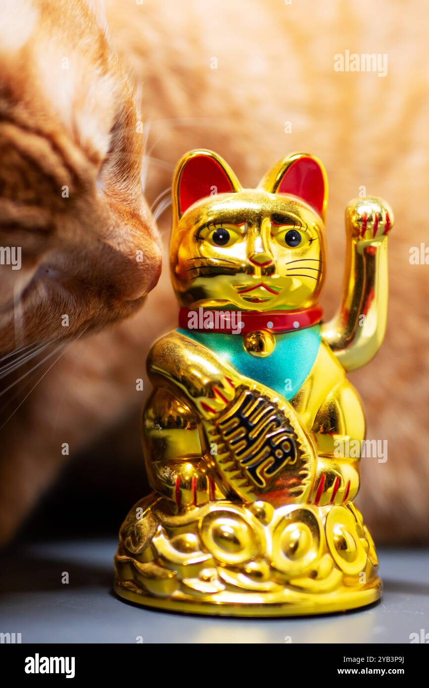 Eine neugierige Katze schaut aufmerksam auf eine kunstvoll verzierte goldene Glückskatzenfigur, die voller Charme und Bedeutung ist und ihre lebendige Energie widerspiegelt Stockfoto