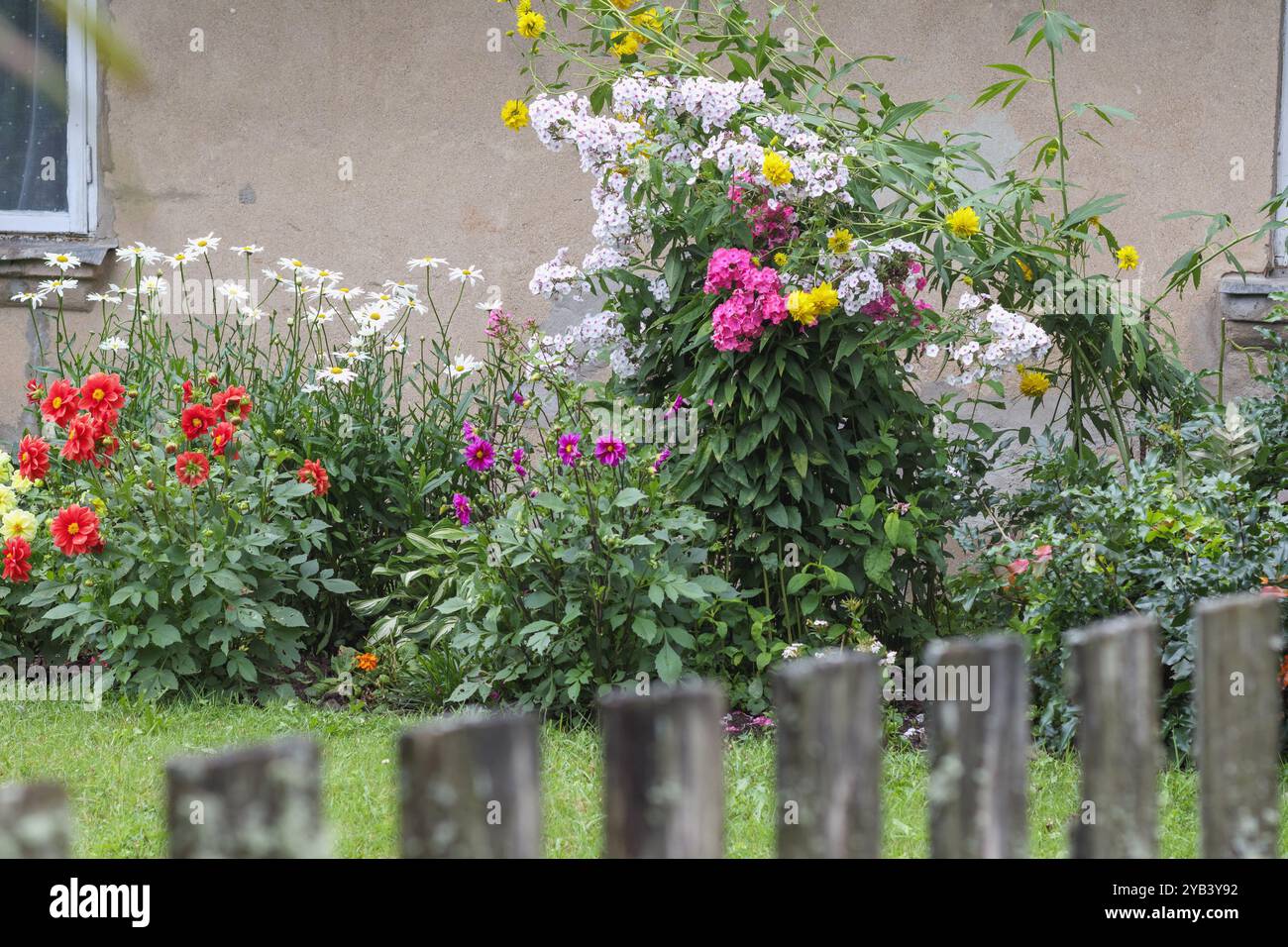 Ein farbenfrohes Blumenbeet im Garten Stockfoto