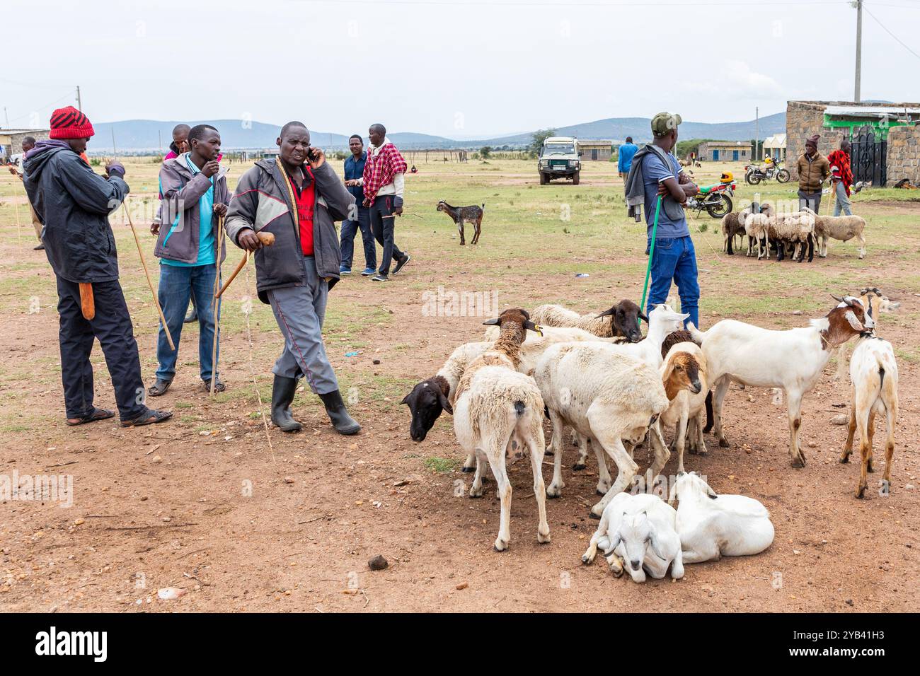 Männer des Masai-Stammes besuchen einmal im Monat einen offenen Markt, um ihre Ziegen zu kaufen und zu verkaufen, Masai Mara, Kenia, Afrika. Stockfoto