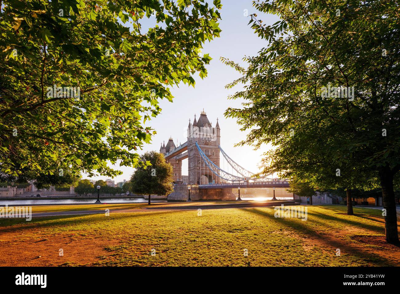 Die London Tower Bridge wird in der frühen Morgensonne durch üppige grüne Bäume gesehen Stockfoto