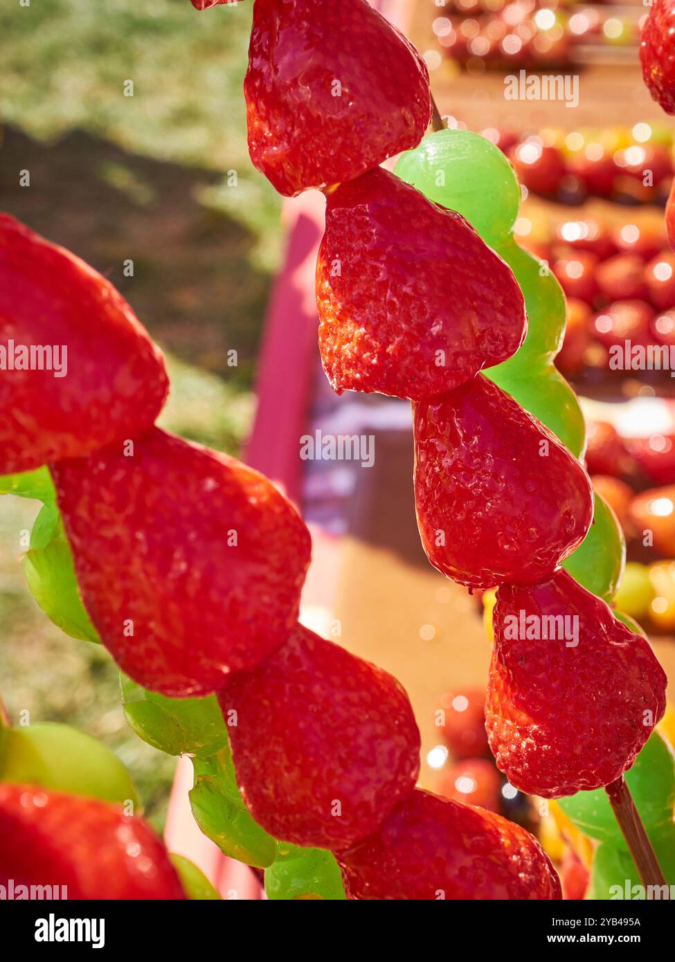 Obstspieße bei einem Thai-Festival in Manassas, Virginia, USA Stockfoto