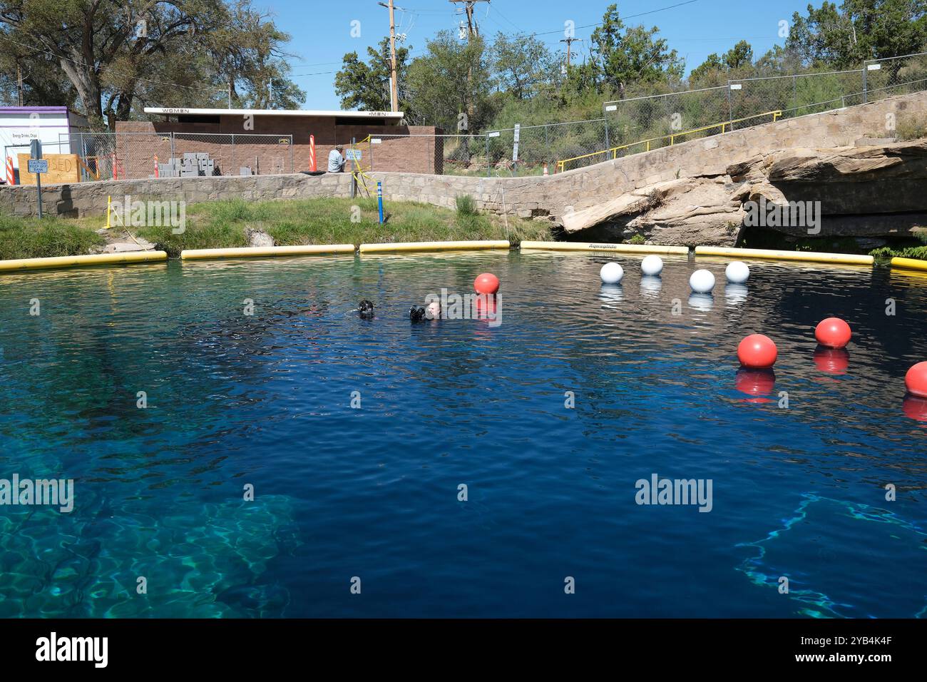 Taucher am Blue Hole von Santa Rosa, New Mexico Stockfoto