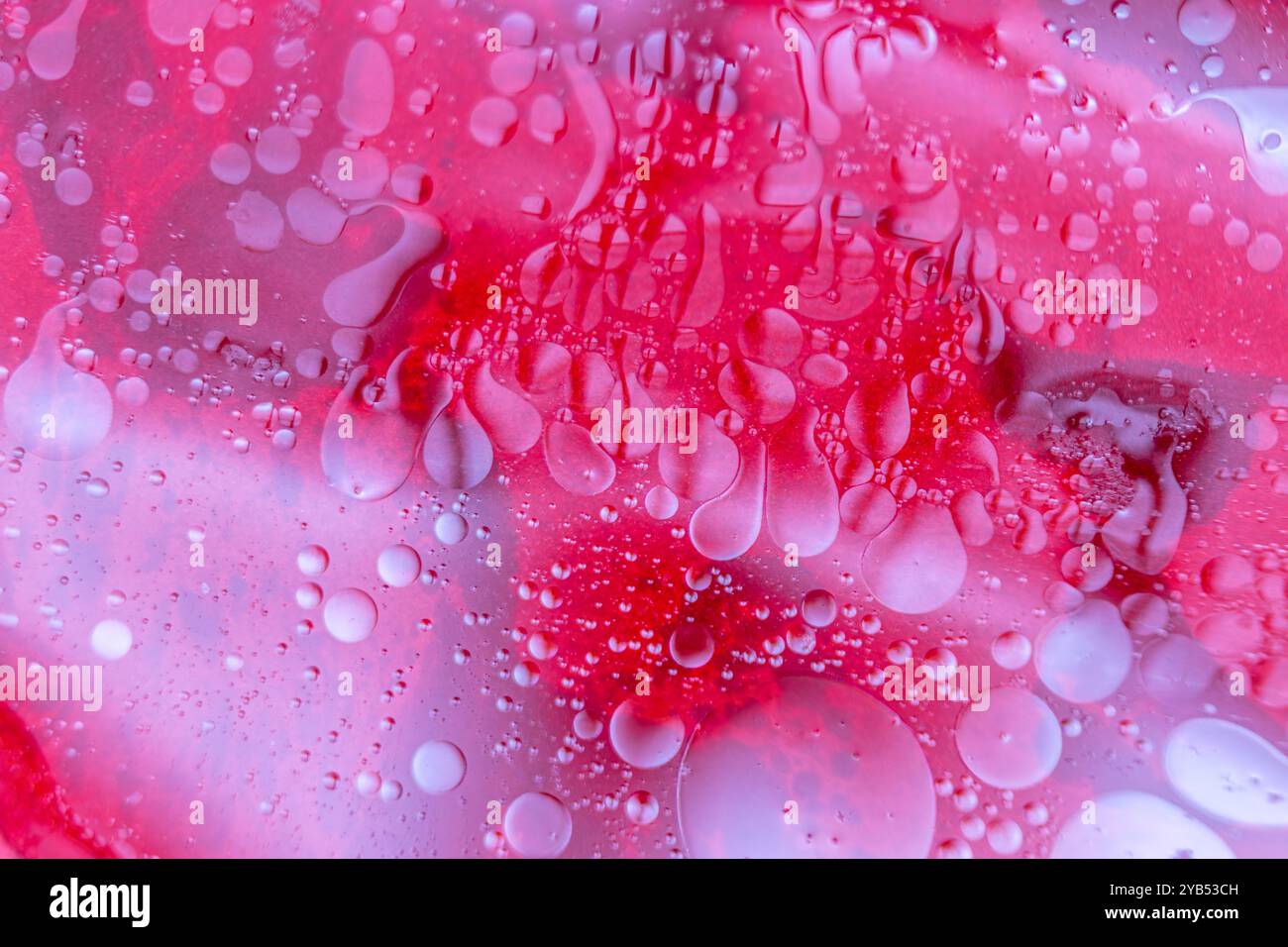 Dieses Makrofoto erfasst einen abstrakten Hintergrund mit leuchtenden Rot- und Rosa-Tönen. Stockfoto