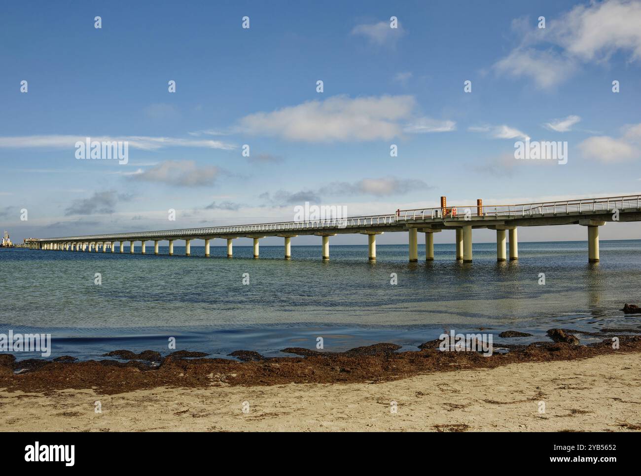 Der neue Prerow Pier, mit 720 Metern der längste Pier in der Ostsee, Prerow Seebad, Fischland-Darss-Zingst Halbinsel, Mecklenburg-West Po Stockfoto