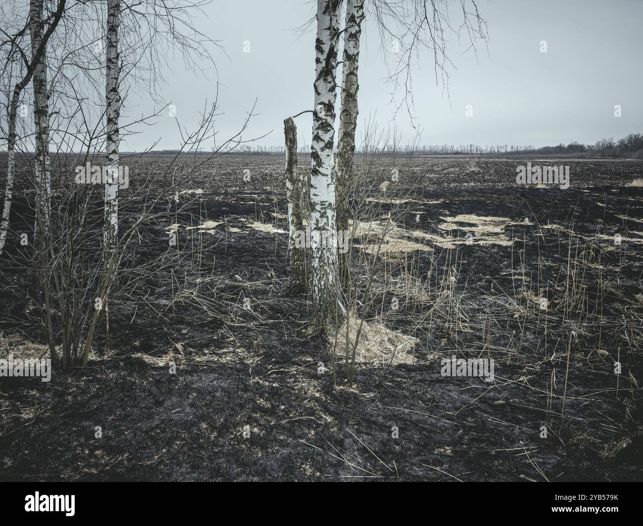 Landschaft nach der Schlacht, in der Nähe von Velikyi Burluk, Ukraine, Europa Stockfoto