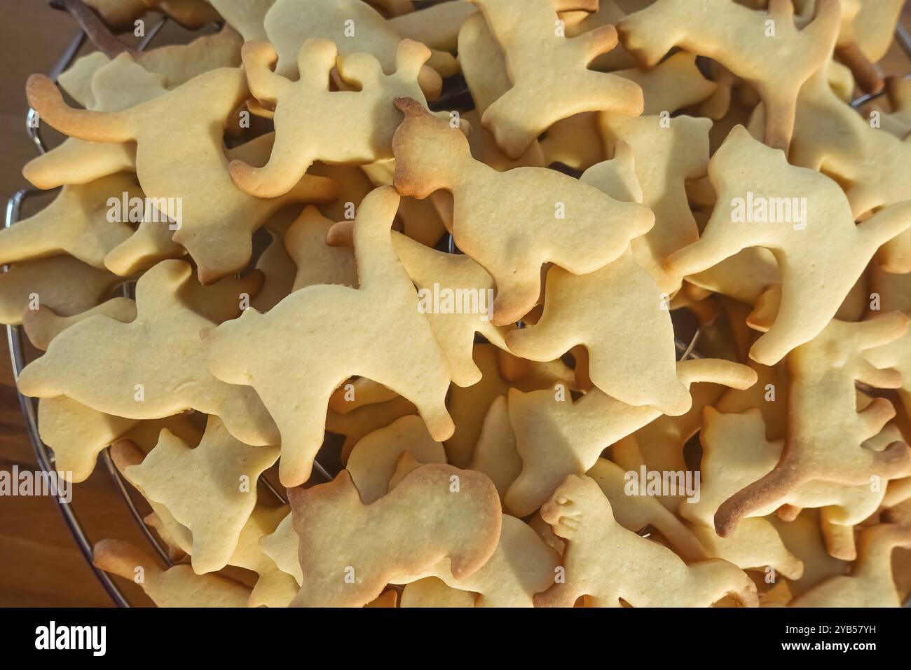 Schwäbische Küche, schwäbische Weihnachtsgebäck, Ausstecherle, Shortbread Biscuits, Katzenfiguren, typisch schwäbisch, Backwaren, Weihnachtsgebäck, süßes Gebäck Stockfoto