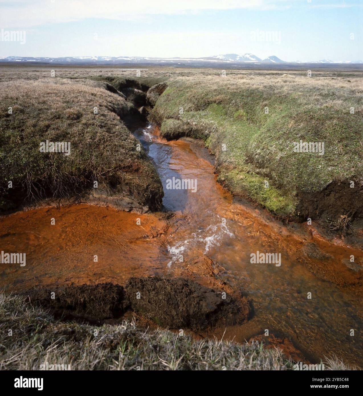 Eisenhaltiges Schmelzwasser in der Nähe von Vopnafjoerdur. Scannen von negativ. Eisenhaltiges Schmelzwasser fließt in der Nähe von VopnafjoerÃ Stockfoto