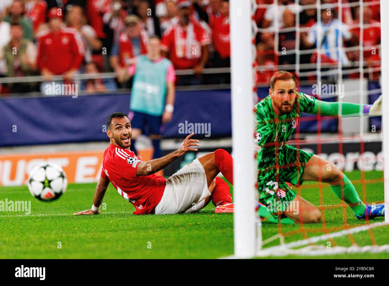 Lissabon, Portugal. Oktober 2024. (L-R) Vangelis Pavlidis (SL Benfica) und Jan Oblak (Atletico de Madrid) wurden während des UEFA Champions League-Spiels zwischen Benfica und Atletico de Madrid im Estadio do Sport Lisboa e Benfica gesehen. Endergebnis: Benfica 4:0 Atletico de Madrid. (Foto: Maciej Rogowski/SOPA Images/SIPA USA) Credit: SIPA USA/Alamy Live News Stockfoto