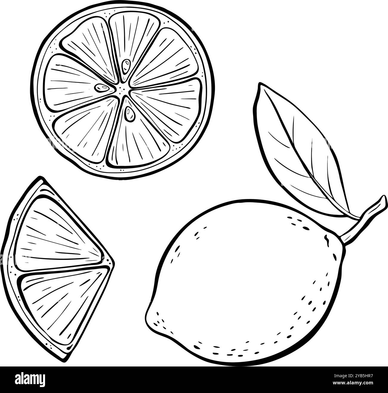 Eine wunderschöne, handgezeichnete Illustration einer Zitrone und Limette im Retro-Stil. Abbildung der Vektorskizze. Stock Vektor