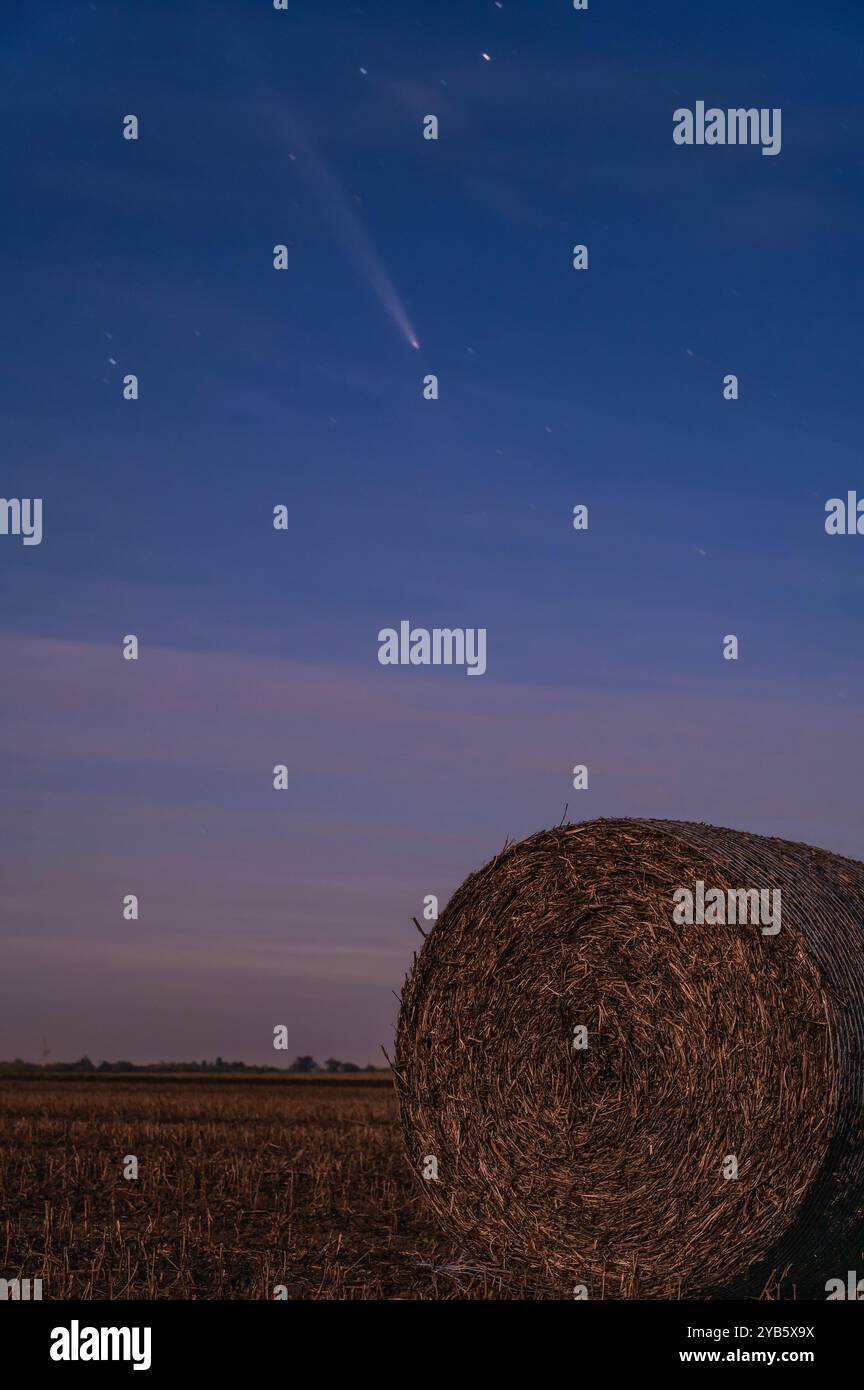Foto des Kometen C/2023 A3 Tsuchinshan-Atlas nach Sonnenuntergang über flachen landwirtschaftlichen Feldern, beleuchtet durch das Licht des Supermondes auf der oposittischen Seite von t Stockfoto