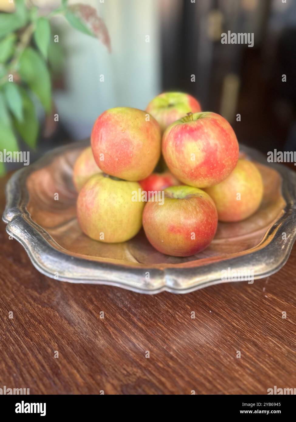 Leckere, frische gelbe und rote Äpfel liegen in einer wunderschönen Schüssel aus Silber und Kupfer. Herbst- und Erntekonzept, gesundes Lebensmittelkonzept, Restaurants und Witwenshop Stockfoto