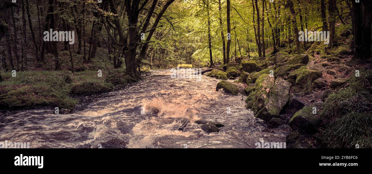 Ein Panoramablick auf die Golitha Falls. Der Fluss Fowey fließt durch den alten Eichenwald Draynes Wood am Bodmin Moor in Cornwall in Großbritannien. Stockfoto