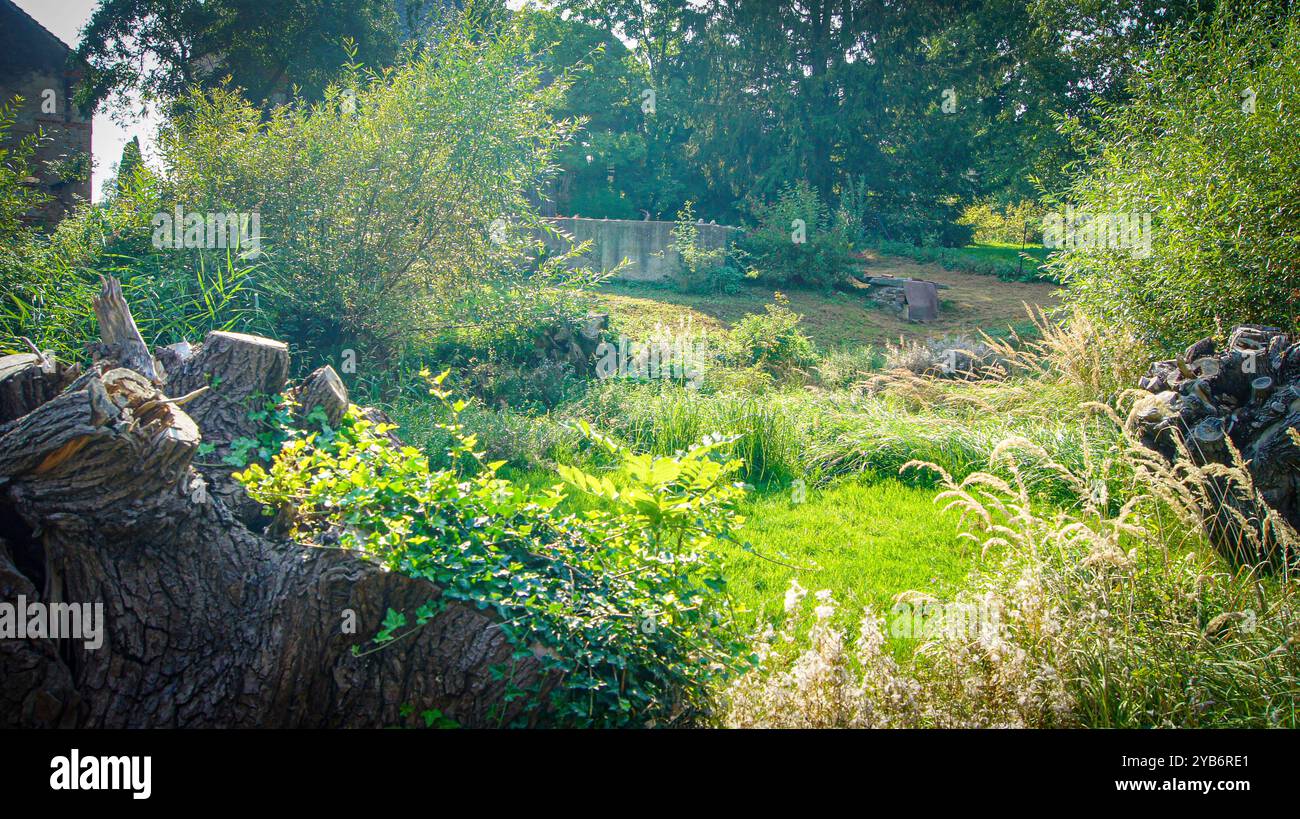Obstgarten und Felder im Dorf - Lasowice in Polen Stockfoto
