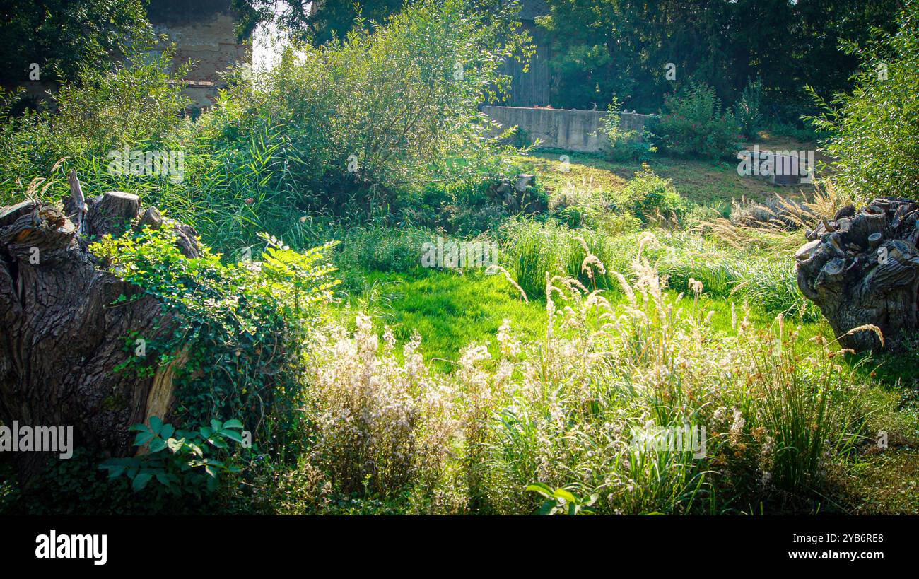 Obstgarten und Felder im Dorf - Lasowice in Polen Stockfoto