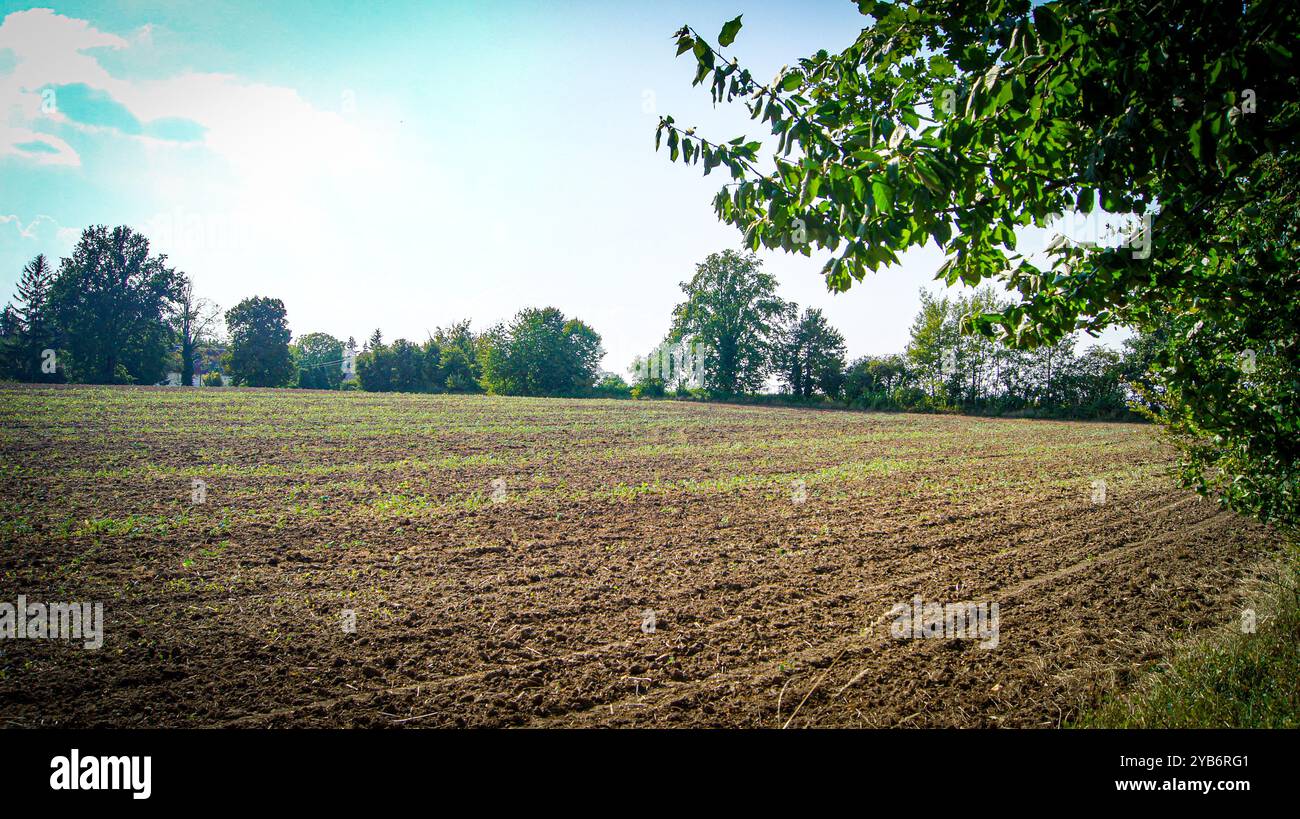 Obstgarten und Felder im Dorf - Lasowice in Polen Stockfoto