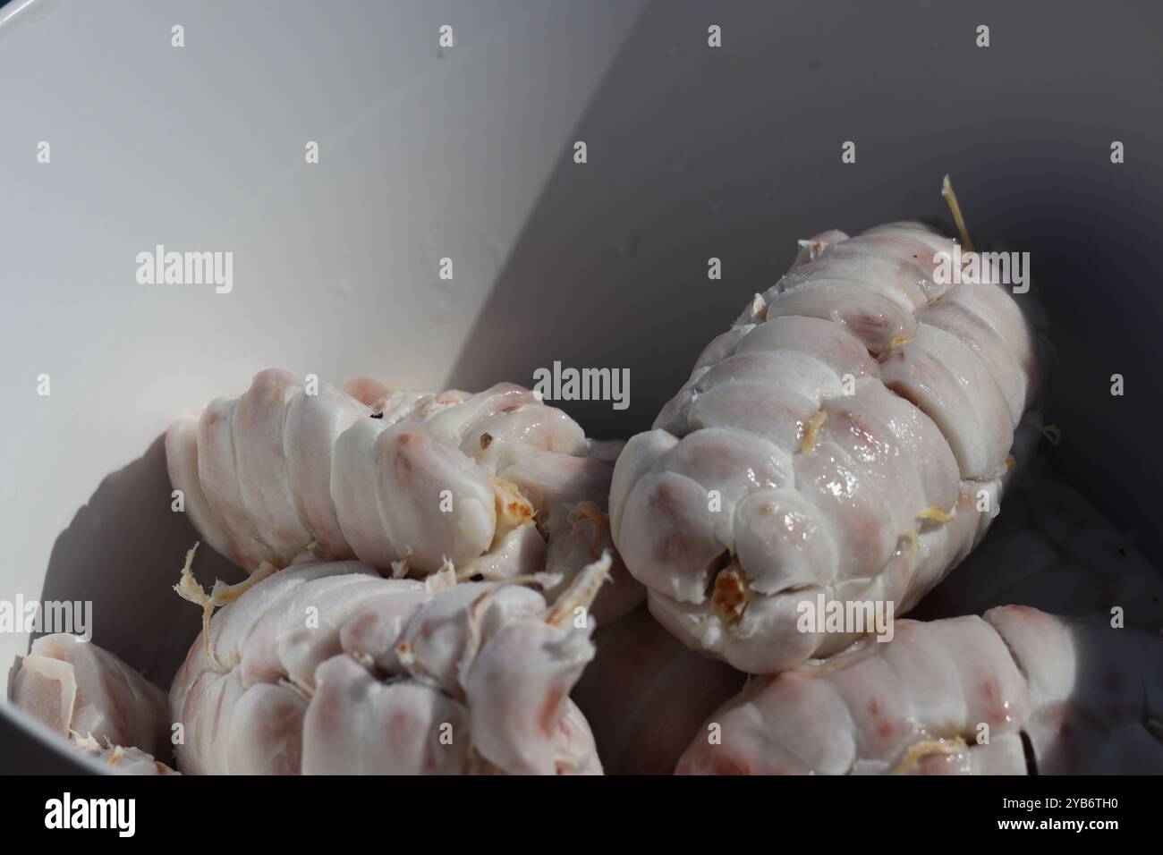 Frisches Kakaobohnenfleisch auf einem Teller Stockfoto