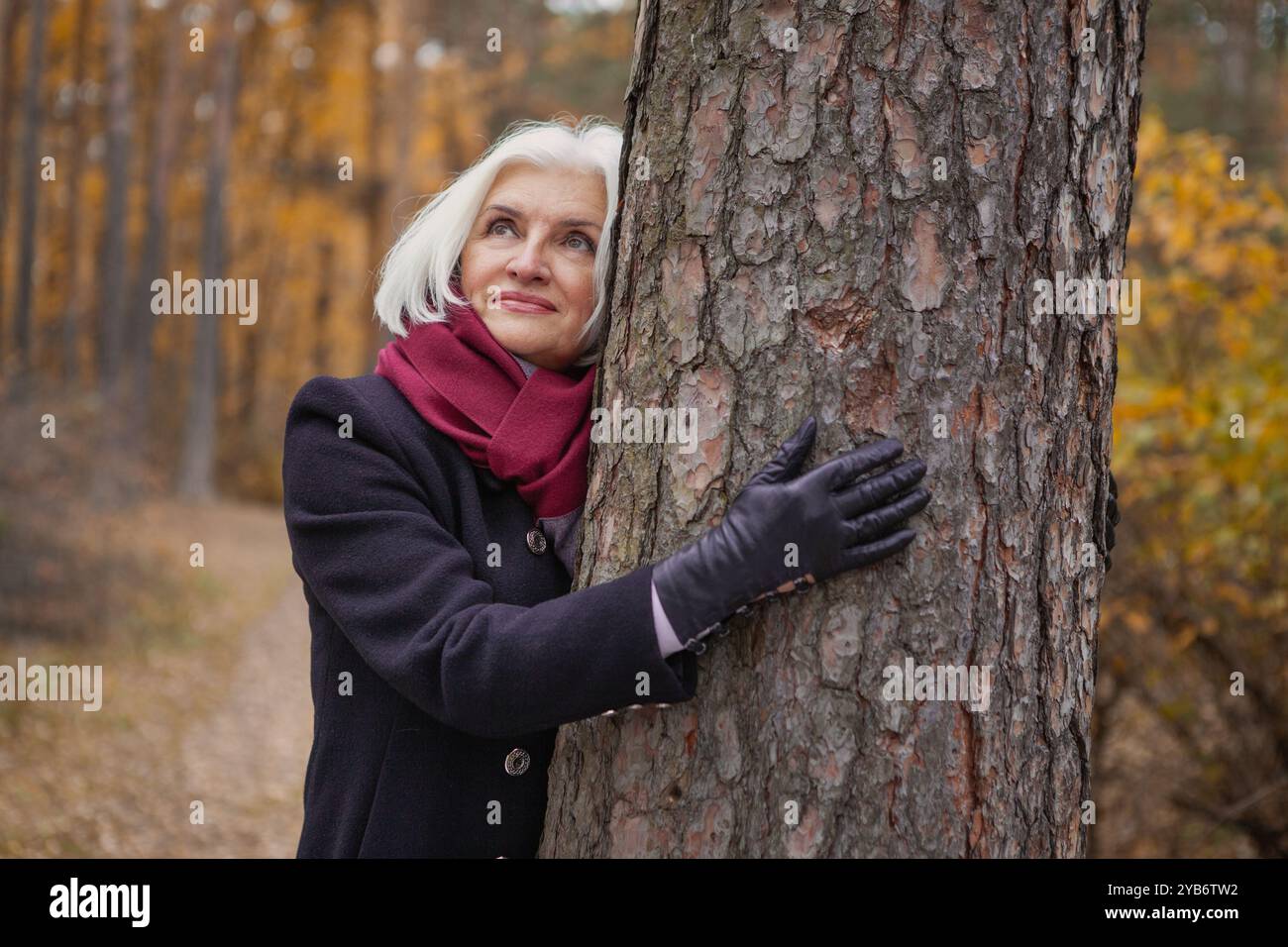 Reife Frau, die mit Baumstamm im Herbstwald steht, in gemütlicher Herbstkleidung, schwarzem Mantel und Schal gekleidet ist und nachdenklich auf das lebhafte Herbstlaub blickt Stockfoto