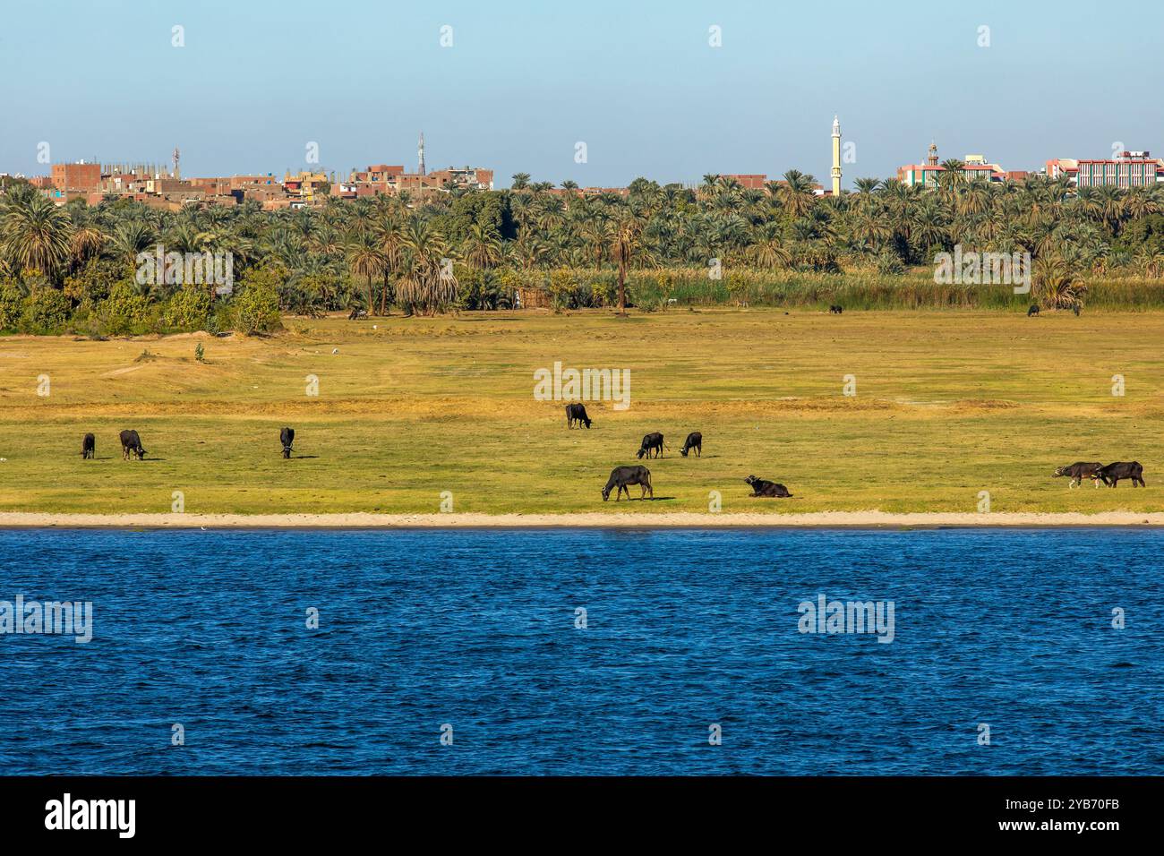 Entdecken Sie den Nile Eden, einen Garten am Fluss. Unsere Bootstour durch Ägyptens Herz bietet atemberaubende Ausblicke auf üppige Landschaften, antike Tempel und den Nil Stockfoto