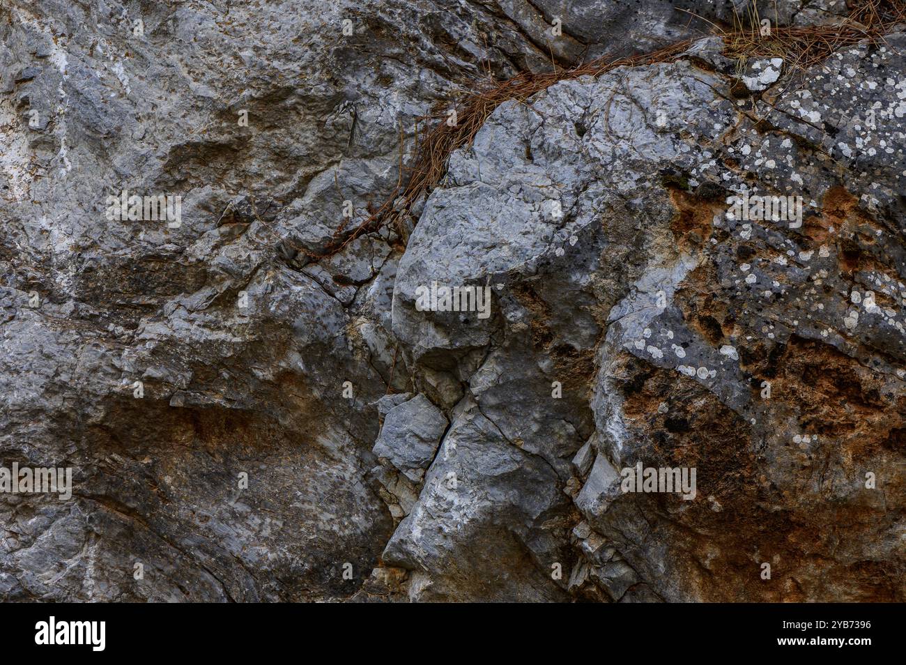 Zerklüftete Kalksteingesteine weisen komplizierte Texturen auf, die verschiedene Farbtöne und Muster zeigen. Karges Moos und Flechten sorgen für natürliche Farben in rauer Brandung Stockfoto