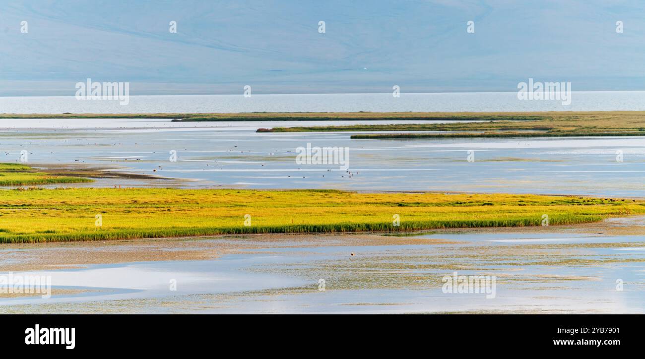 Mehrdimensionaler Panoramablick auf den Son Kul See in Kirgisistan. Zahlreiche Wasservögel verschiedener Arten schwimmen entlang. Stockfoto