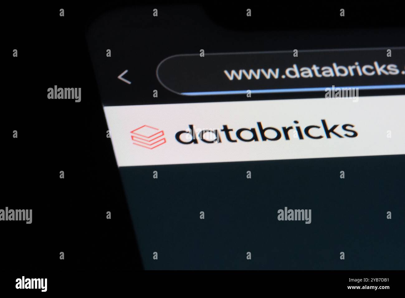 Databricks Markenlogo auf der offiziellen Website. Amerikanisches Softwareunternehmen Stockfoto