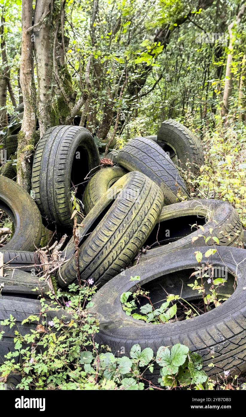 Alte, ausgediente Fahrzeugreifen, illegal entsorgt, Fliegenkippe, Umwelt-, Verschmutzungskonzept Stockfoto