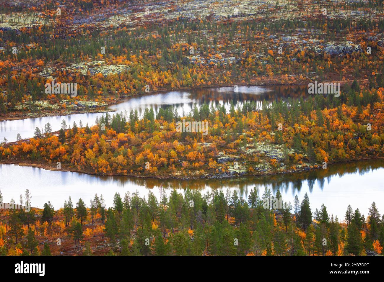 Herbstlandschaften mit Blick auf den See Kaskama. Kola-Halbinsel, Polarkreis, Russland Stockfoto