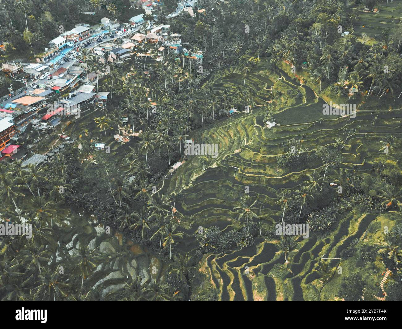 Blick aus der Vogelperspektive auf traditionelle Reisterrassen und das Dorf in tropischer Landschaft Stockfoto