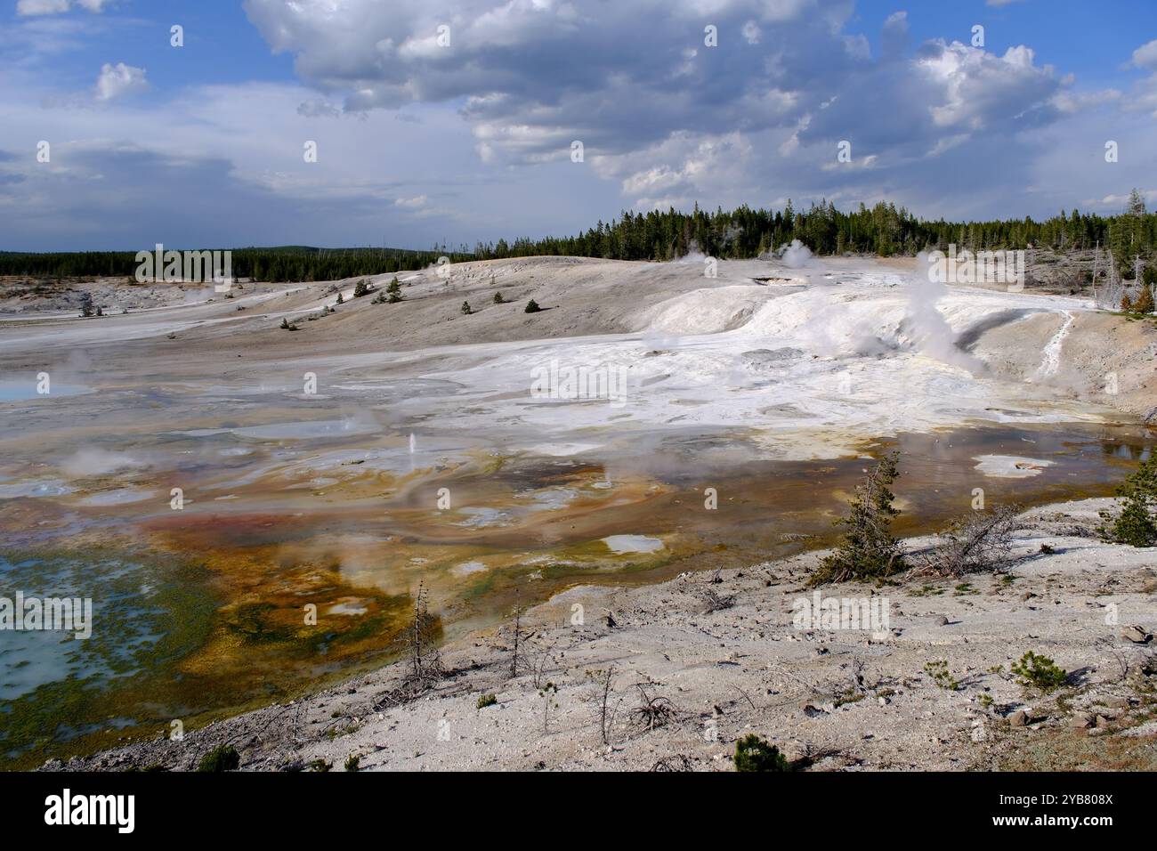 Landschaft im Norris Geyser Basin im Yellowstone-Nationalpark, USA Stockfoto