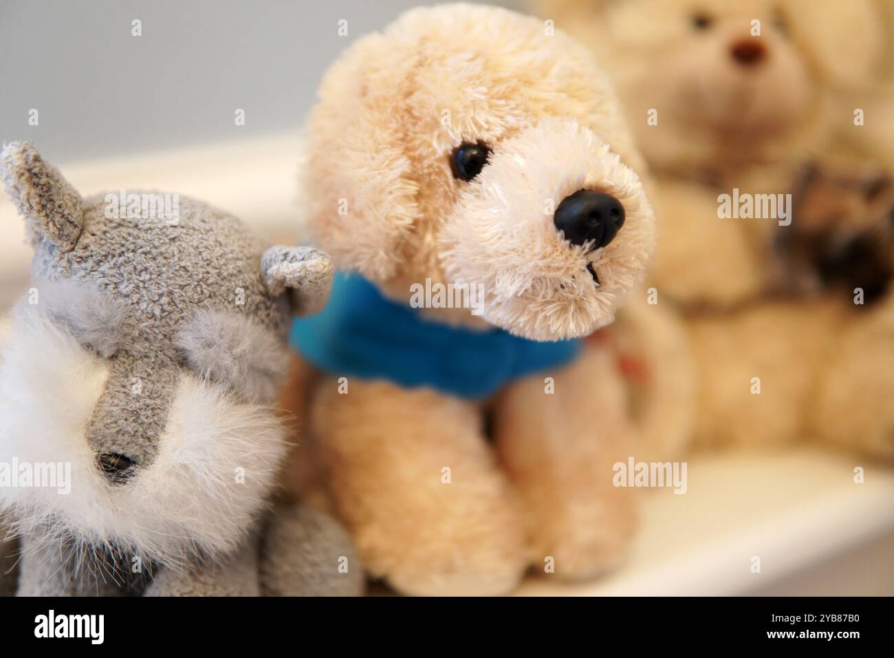 Süße und weiche Teddybären, die Kinder und Hundespielzeug darstellen Stockfoto