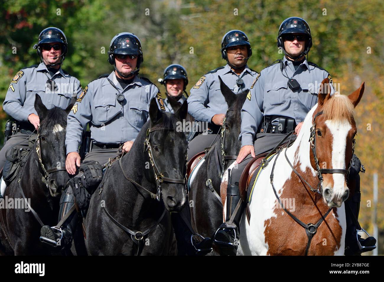 Berittene Einheit der Pennsylvania State Police während einer politischen Kundgebung am 16. Oktober 2024 im Bucks County, PA, USA. Quelle: Bastiaan Slabbers/OOgImages Stockfoto