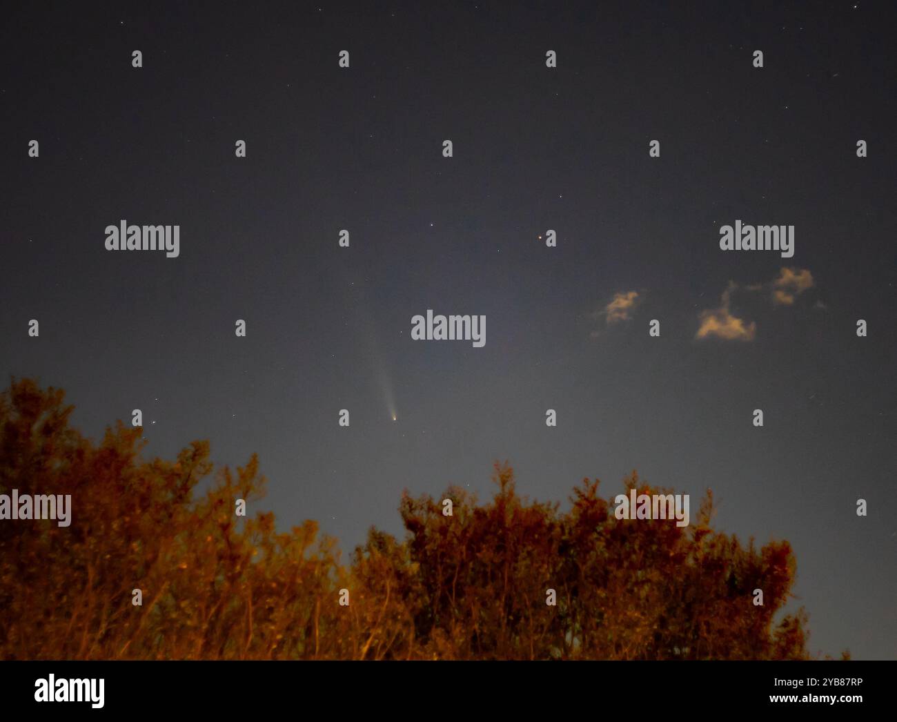 Komet Tsuchinshan-ATLAS am Himmel über Charlotte, NC, am Abend des 16. Oktober 2024. Stockfoto