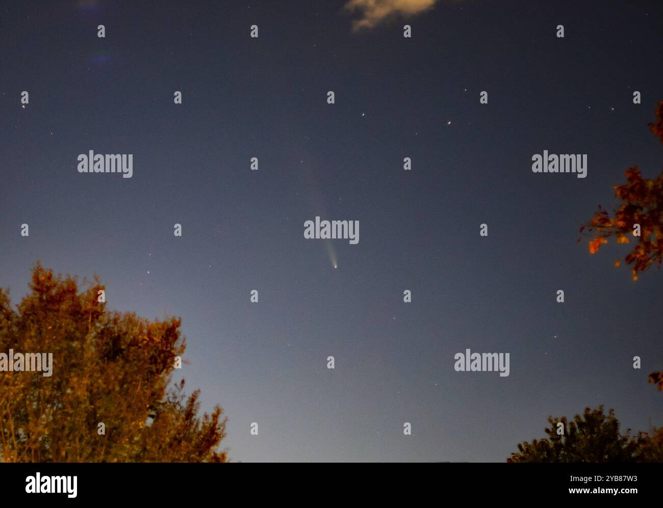 Komet Tsuchinshan-ATLAS am Himmel über Charlotte, NC, am Abend des 16. Oktober 2024. Stockfoto