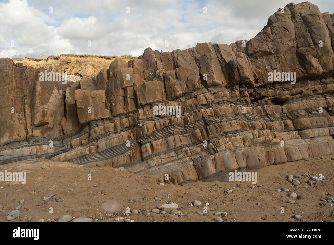 Gesteinsschichten: Sandsteine, Siltsteine und Schiefer aus der Bude-Formation. Oberer Karbon... Widemouth Bay, Cornwall, Großbritannien Stockfoto