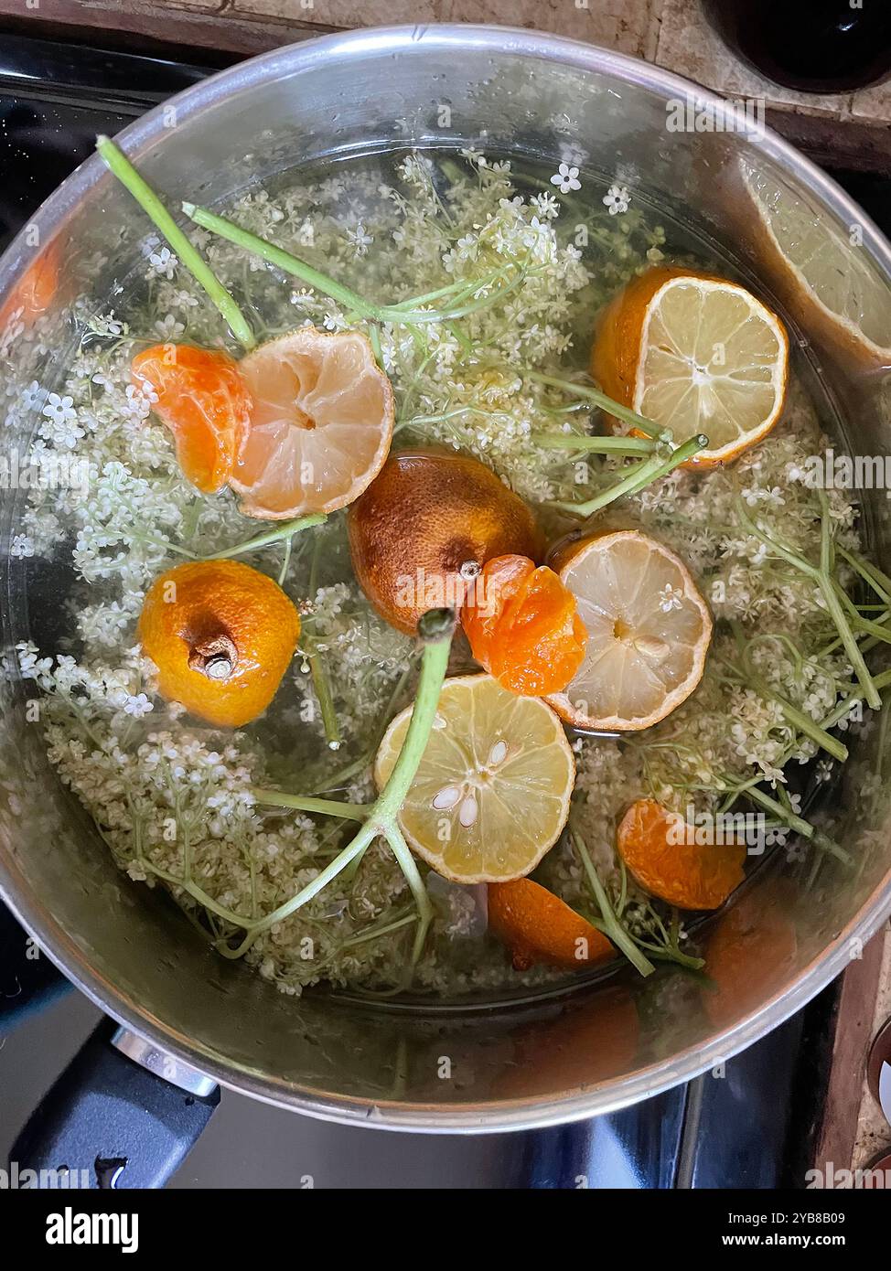 Hausgemachte Holunderblütenkordial machen Stockfoto