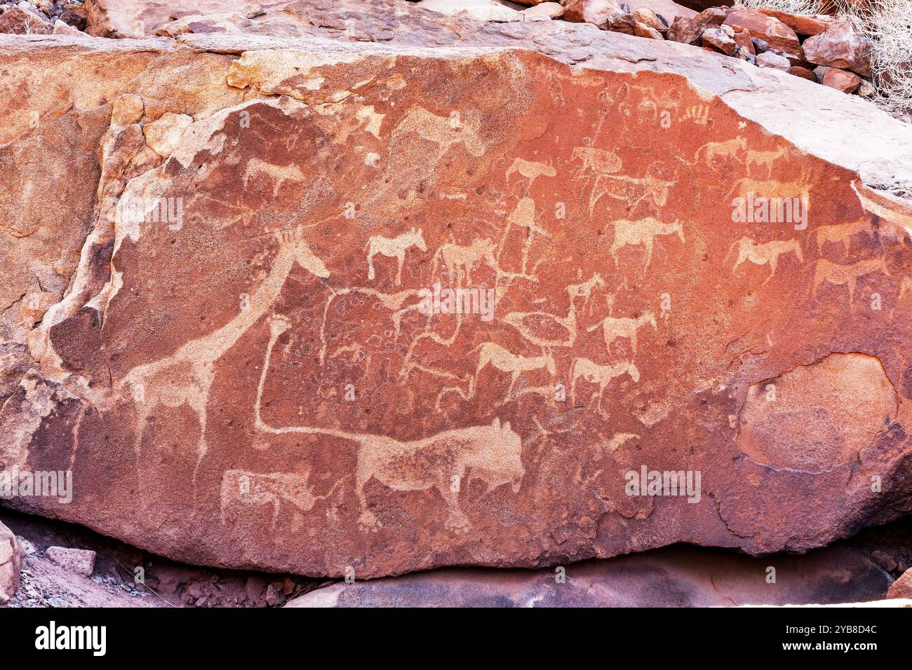Felsgravuren, antike Petroglyphen von Tieren in Twyfelfontein, Damaraland, Namibia Stockfoto