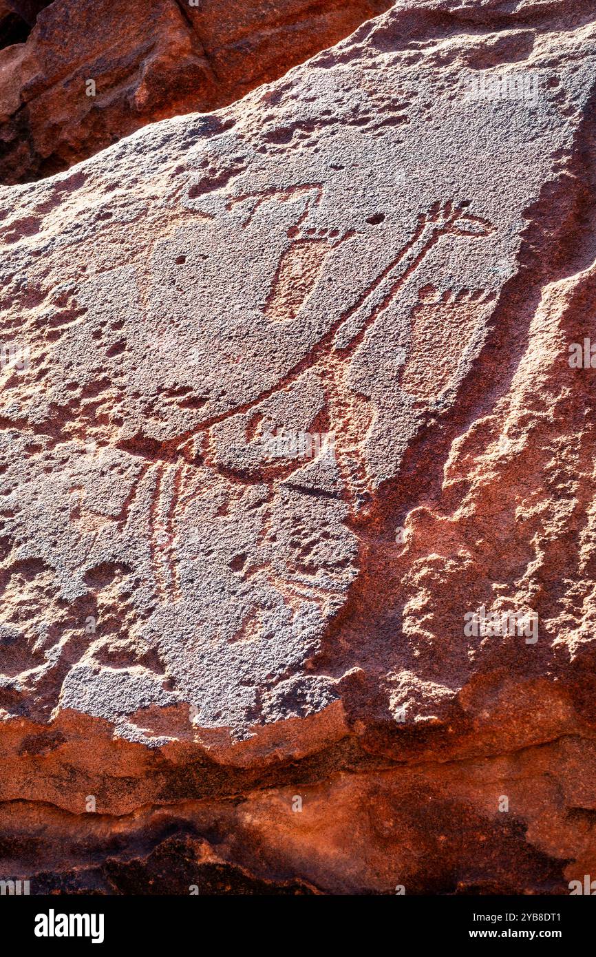 Felsgravuren, antike Petroglyphen von Tieren in Twyfelfontein, Damaraland, Namibia Stockfoto