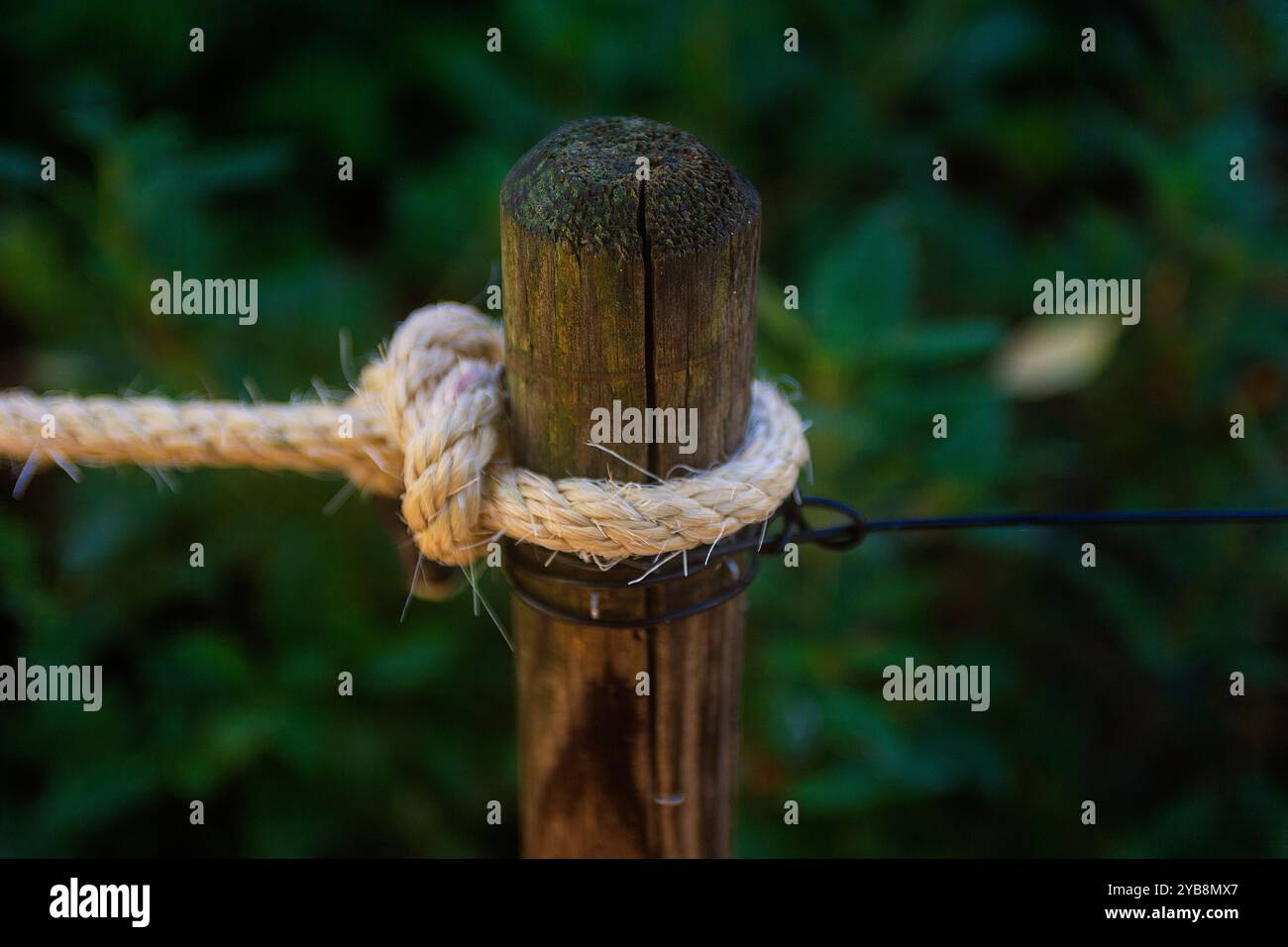 Holzpfahl mit Seil und Kabelknoten Stockfoto