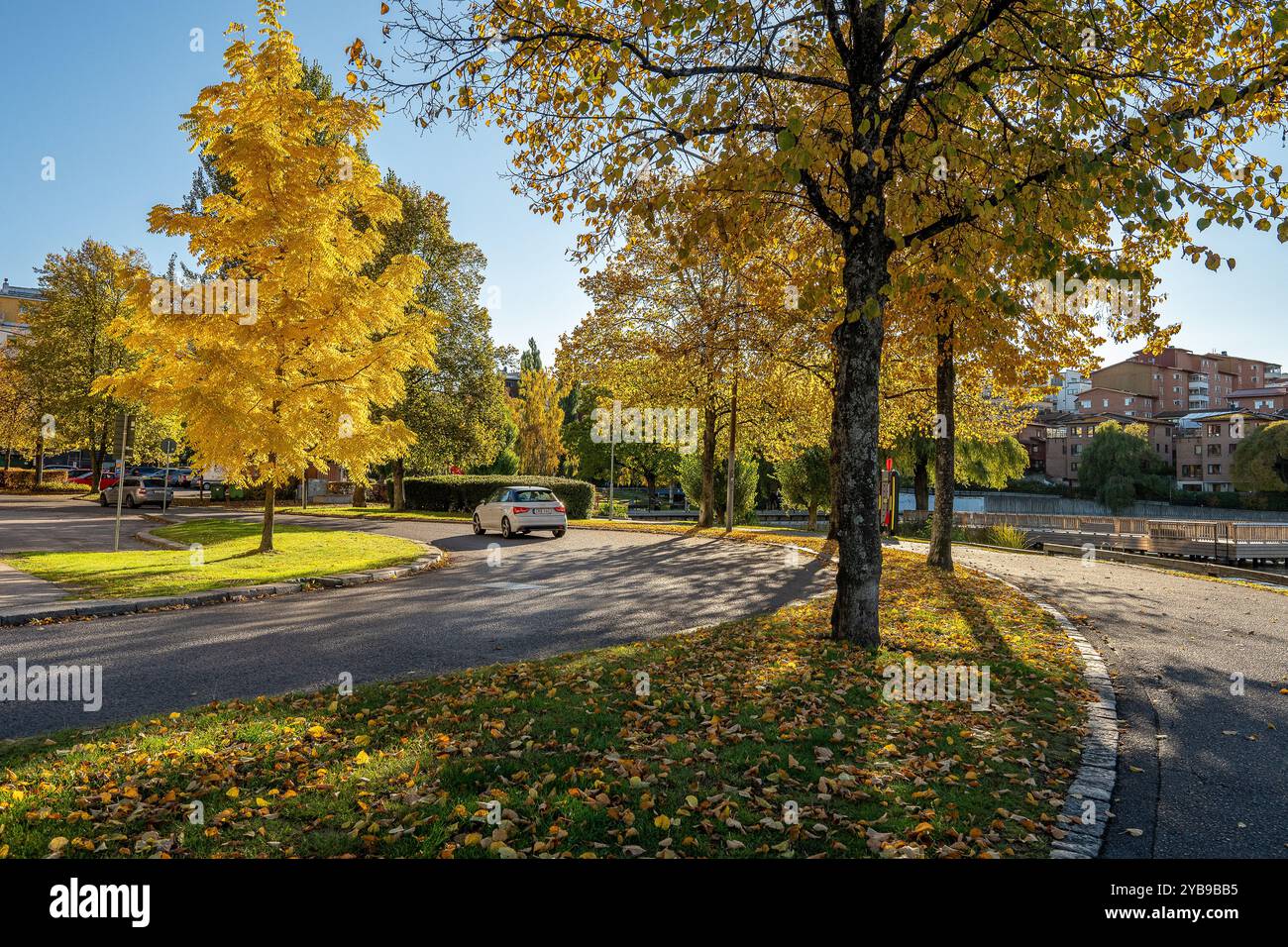 Herbstfarben auf der Straße Hamngatan in Norrköping, Schweden im Oktober 2024. Norrköping ist eine historische Industriestadt in Schweden. Stockfoto