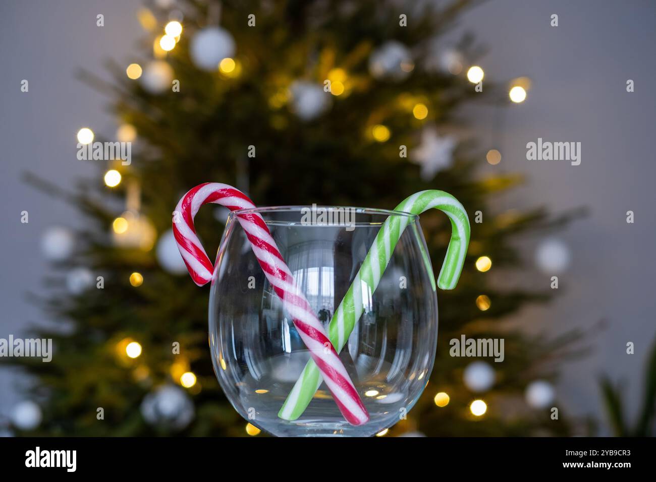 Ein klares Glas hält zwei Zuckerstangen, einer rot-weiß, der andere grün, vor einem glitzernden Weihnachtsbaum, der mit Lichtern und Ornamenten geschmückt ist. Stockfoto