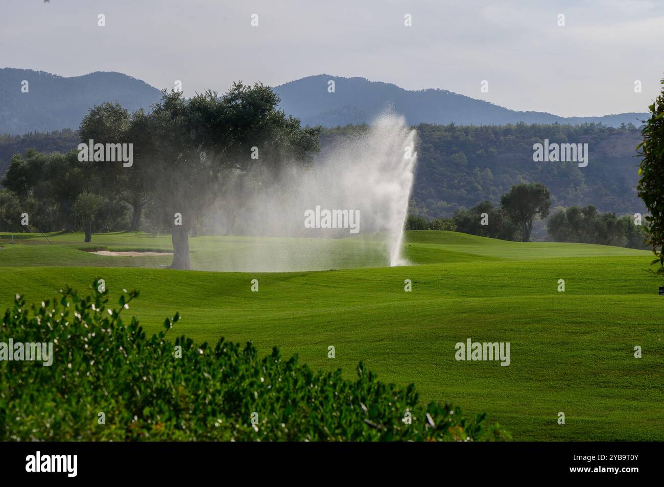 Das Morgenlicht beleuchtet einen lebhaften Golfplatz, auf dem Wasser aus einem Brunnen spritzt und eine nebelige Aura erzeugt. Majestätische Berge erheben sich im Hintergrund, Stockfoto