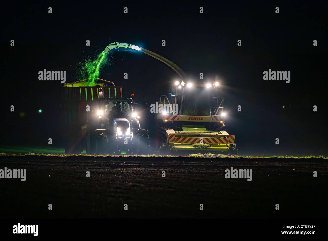18.10.2024, Landwirt auf seinem Feld in der Nacht bei Bad Wörishofen im Unterallgäu, ein Landwirt bei der Grasernte, durch die Scheinwerfer schaut es gespenstisch aus. 18.10.2024, Landwirtschaft 18.10.2024, Landwirtschaft *** 18 10 2024, Landwirt auf seinem Feld nachts bei Bad Wörishofen im Unterallgäu, Ein Landwirt, der Gras erntet, sieht durch die Scheinwerfer gruselig aus 18 10 2024, Landwirtschaft 18 10 2024, Landwirtschaft Stockfoto