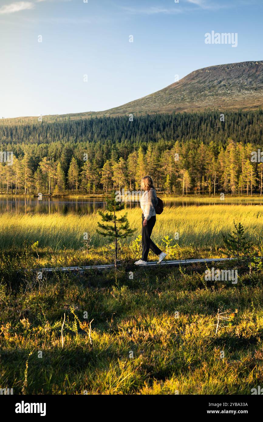 Frau, die auf einem Holzweg neben einem See in den Feuchtgebieten von Idre, Berg Städjan, im Hintergrund während der goldenen Stunde des Sommers, Dalarna Schweden, wandert Stockfoto