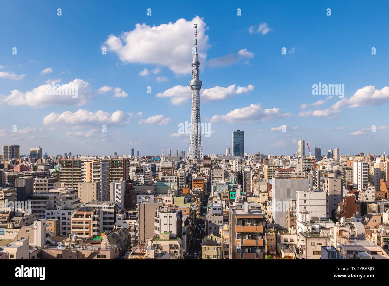 Blick auf Tokio, die Hauptstadt Japans und eine der bevölkerungsreichsten Städte der Welt Stockfoto