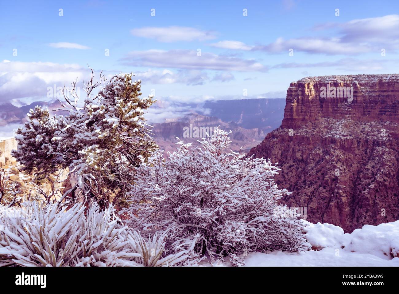 Der Grand Canyon National Park in Arizona ist ein Weltkulturerbe und gilt als eines der Naturwunder der Welt Stockfoto