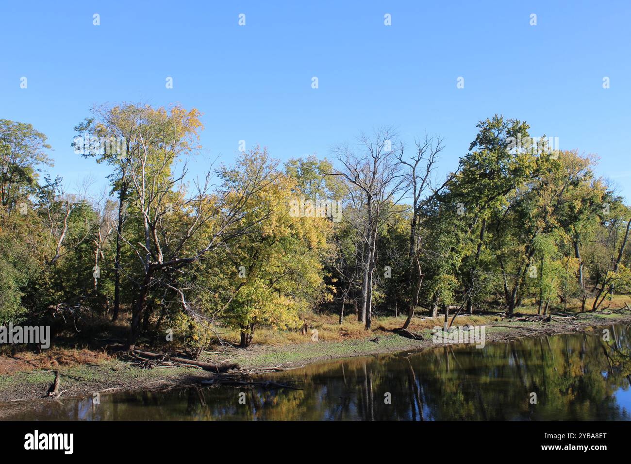 Des Plaines River bei Algonquin Woods im Herbst in des Plaines, Illinois Stockfoto