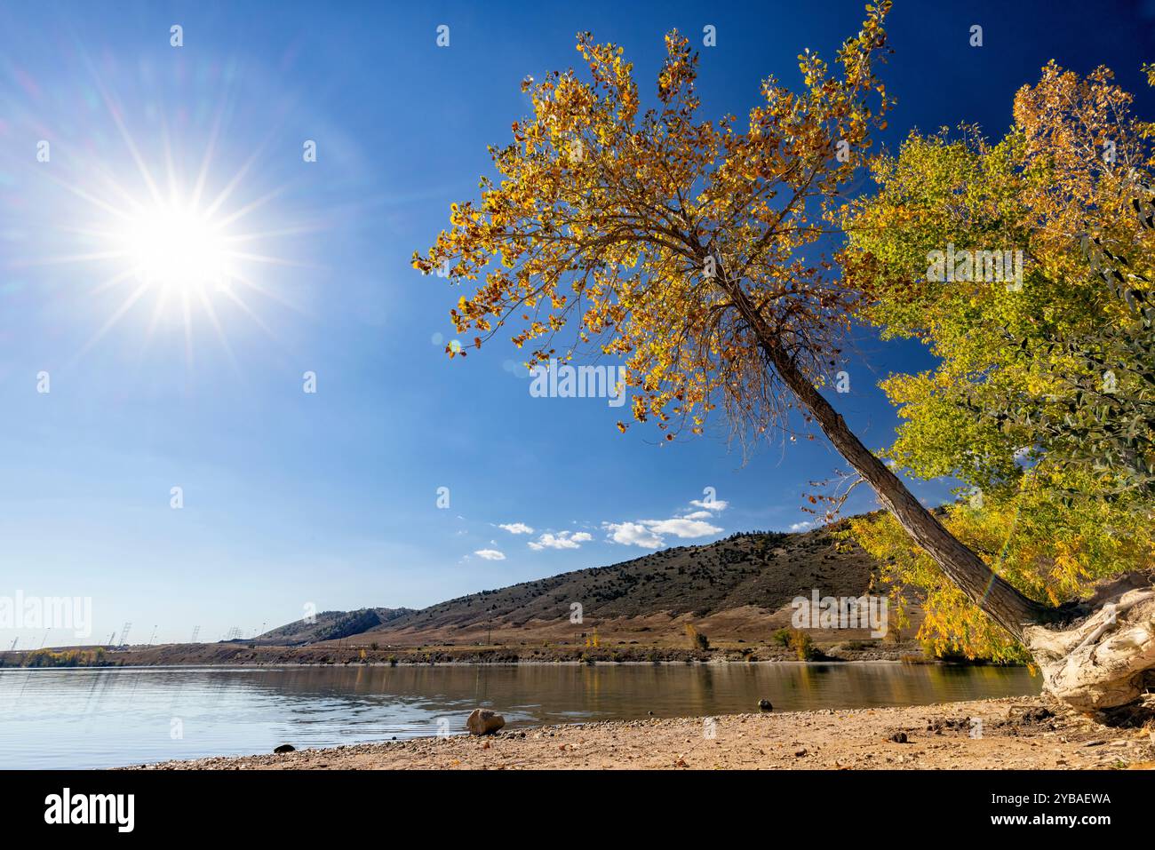 Big Soda Lake im Herbst im Bear Creek Lake Park, Lakewood, Colorado, USA Stockfoto